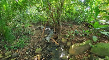 Cabinas Los Laureles