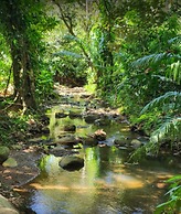 Cabinas Los Laureles
