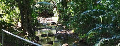 Cabinas Los Laureles