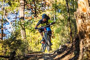 The Pear Orchard Lodge