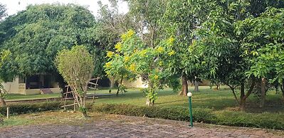Lumbini Buddha Garden Resort