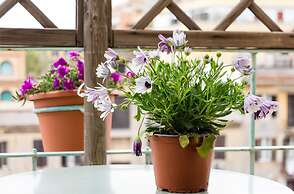 Torripa Group - Prati