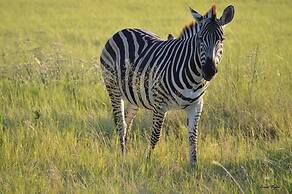 Third Bridge Mobile Camp