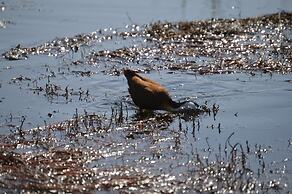 Third Bridge Mobile Camp