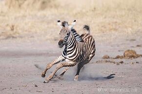 Third Bridge Mobile Camp