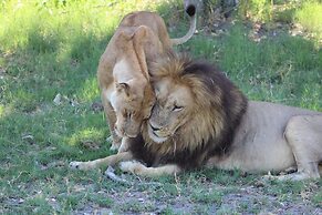 Third Bridge Mobile Camp