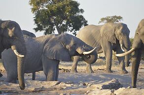 Third Bridge Mobile Camp