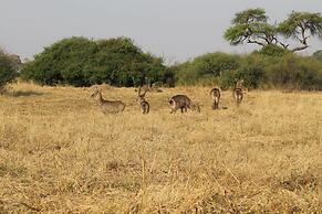 Xakanaka Mobile Camp