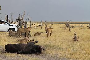 Xakanaka Mobile Camp