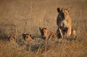 Xakanaka Mobile Camp