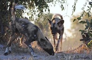 Xakanaka Mobile Camp