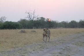 Xakanaka Mobile Camp