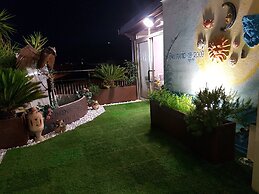 B&B Panoramic