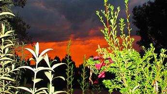 Chaska Wasi Amantani