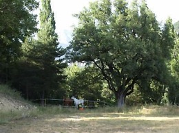 Alberg Torre del Baró - Hostel