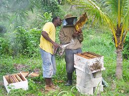 Zimbali Culinary Retreat