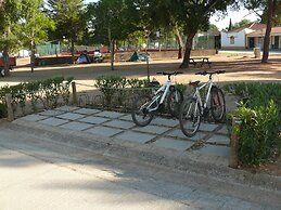 Parque de Campismo Orbitur Montargil