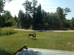 Warbler's Roost Country Inn B&B