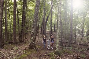 Dale Hollow Lake State Resort Park