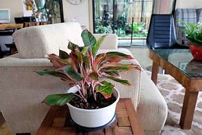 A Good Nite at Nimman