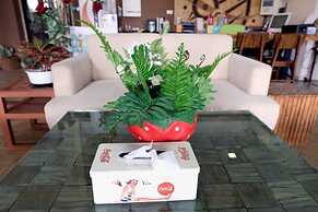 A Good Nite at Nimman