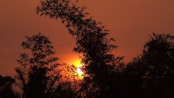 The Riverside Javanese Cottages