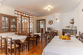 El Secreto del Olivo