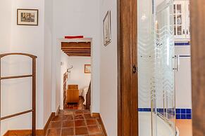 El Secreto del Olivo