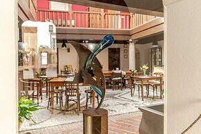 El Secreto del Olivo