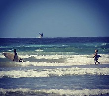 Mozambeat Motel - Hostel