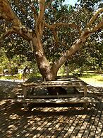 Mozambeat Motel - Hostel