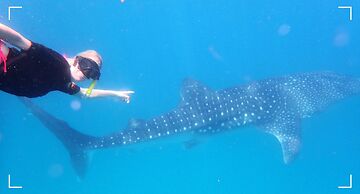 Mozambeat Motel - Hostel