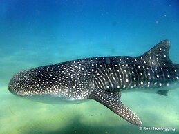 Mozambeat Motel - Hostel