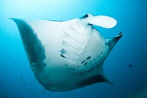 Mozambeat Motel - Hostel