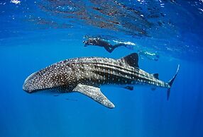 Mozambeat Motel - Hostel