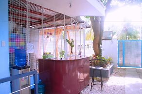 Pedz Cing Mango Lodge