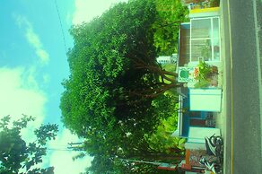 Pedz Cing Mango Lodge