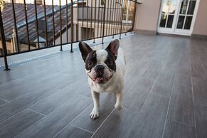 Riga Lux Apartments - Ernesta