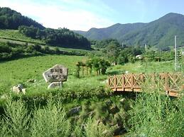 Castle in the Forest