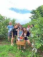 Timberland and Fruit Resort