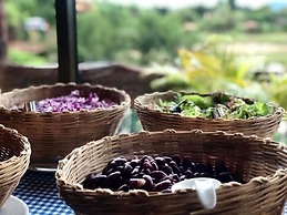 Timberland and Fruit Resort