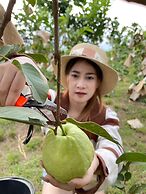 Timberland and Fruit Resort