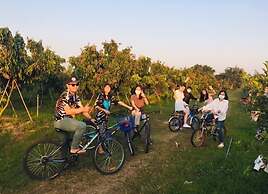 Timberland and Fruit Resort