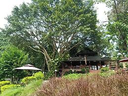 Insda Wellness Resort