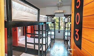 Mad Monkey Chiang Mai - Hostel