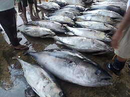 Patrick Holiday Resort