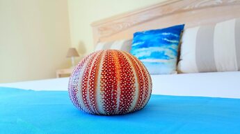 Brezza Marina Luxury Rooms