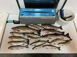 Auberge La Taniere A Tadoussac