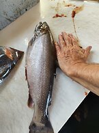 Auberge La Taniere A Tadoussac