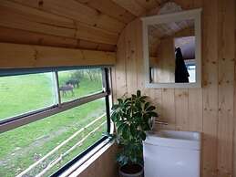 Ceridwen Glamping, Double decker Bus and Yurts